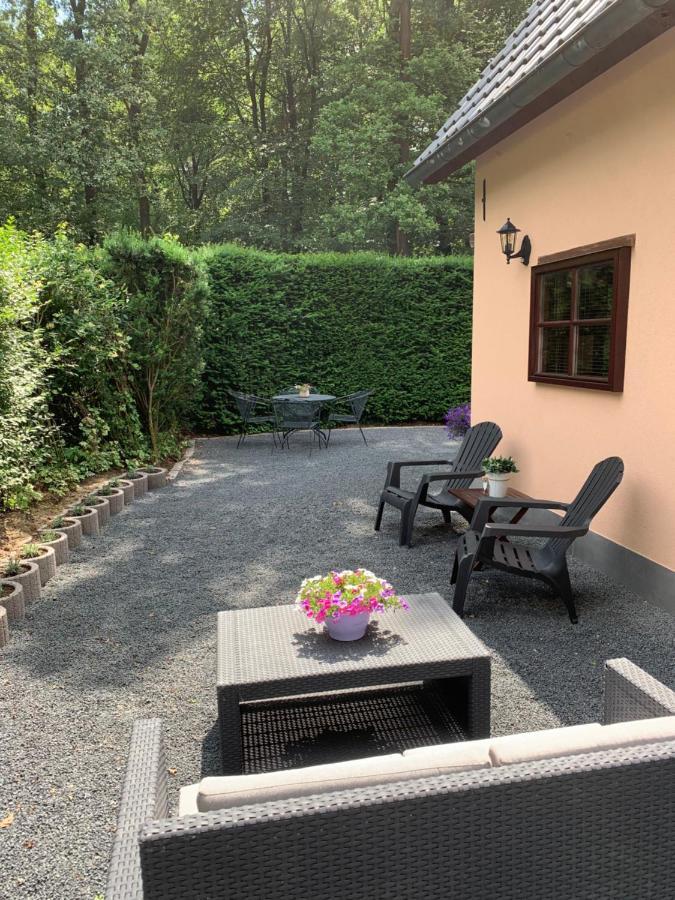 Romantisch Gastenverblijf 'Het Vogelhuisje' ルンテレン エクステリア 写真